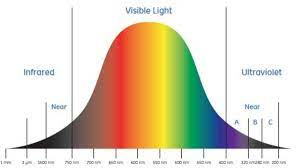 spectrophotometer principle